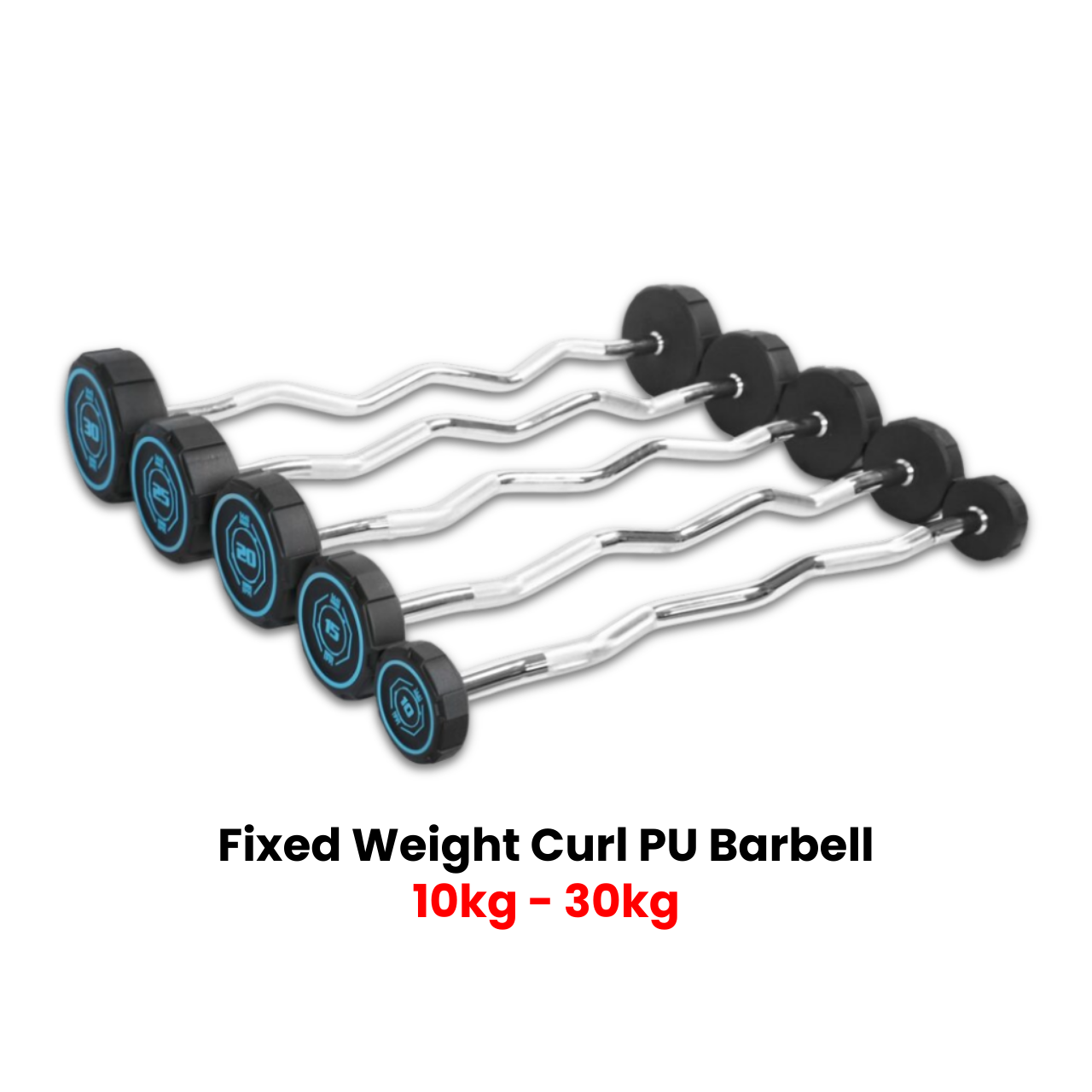 Fixed Curl PU Barbell Set - 10 Kg to 30 Kg
